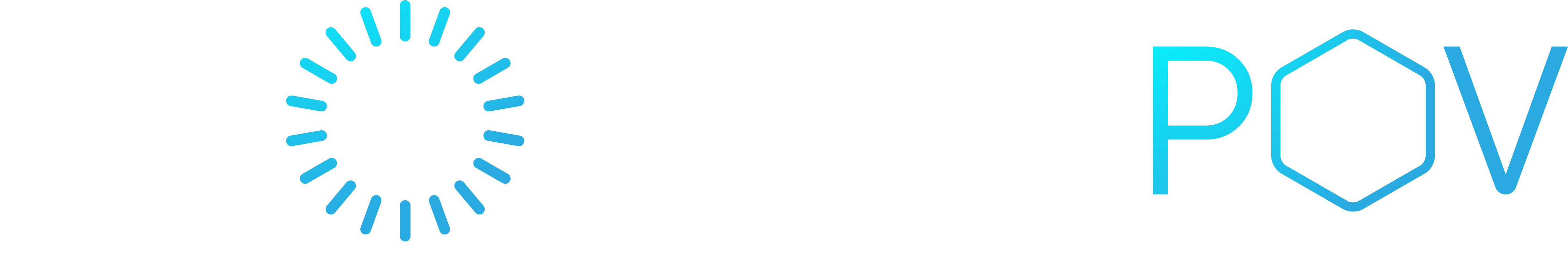 The Flourish POV